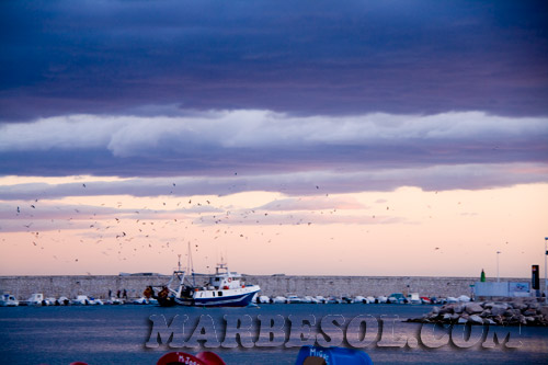 fuengirola