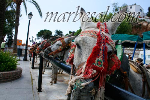 fotos mijas