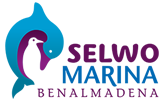 selwo marina