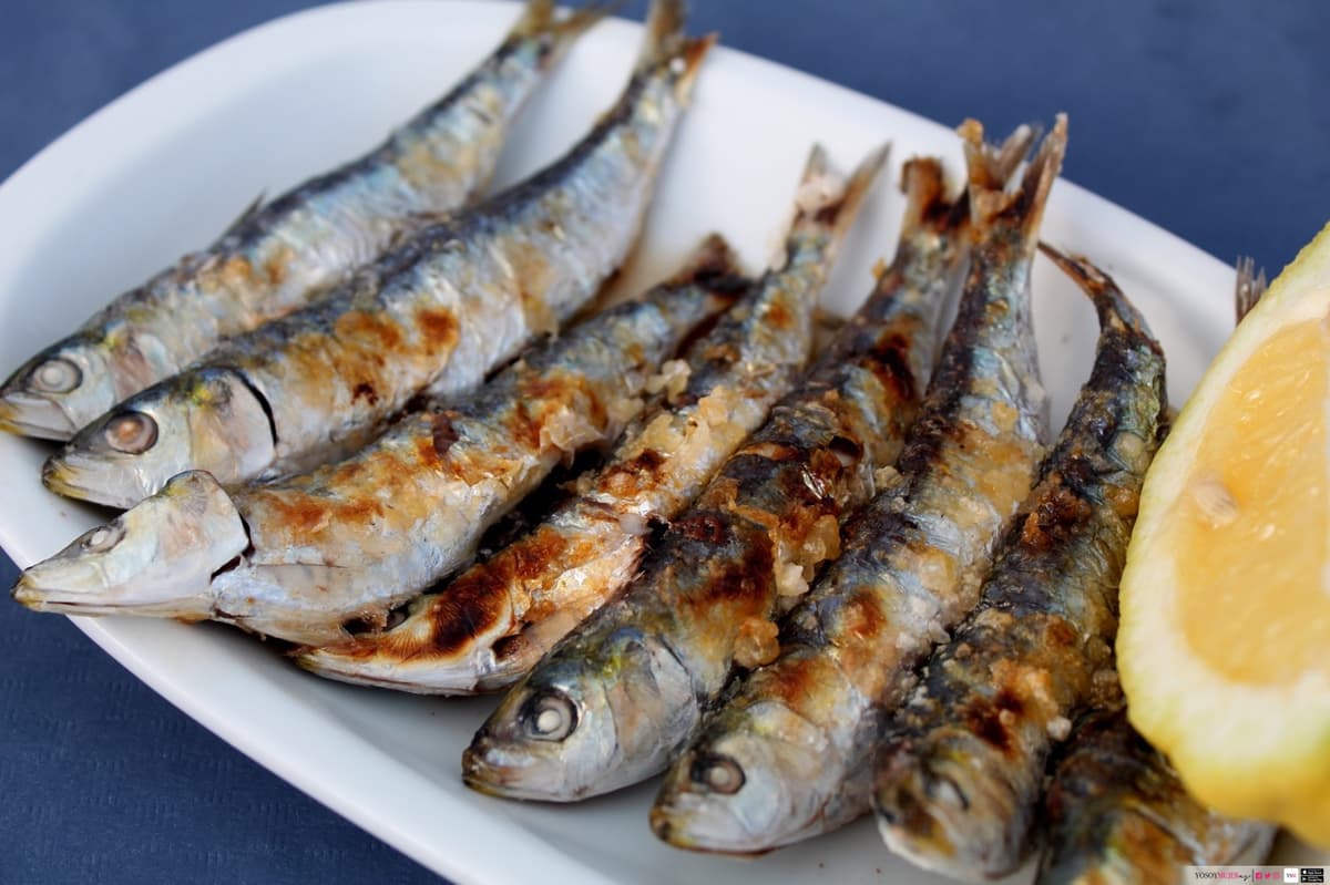Things to do in Malaga