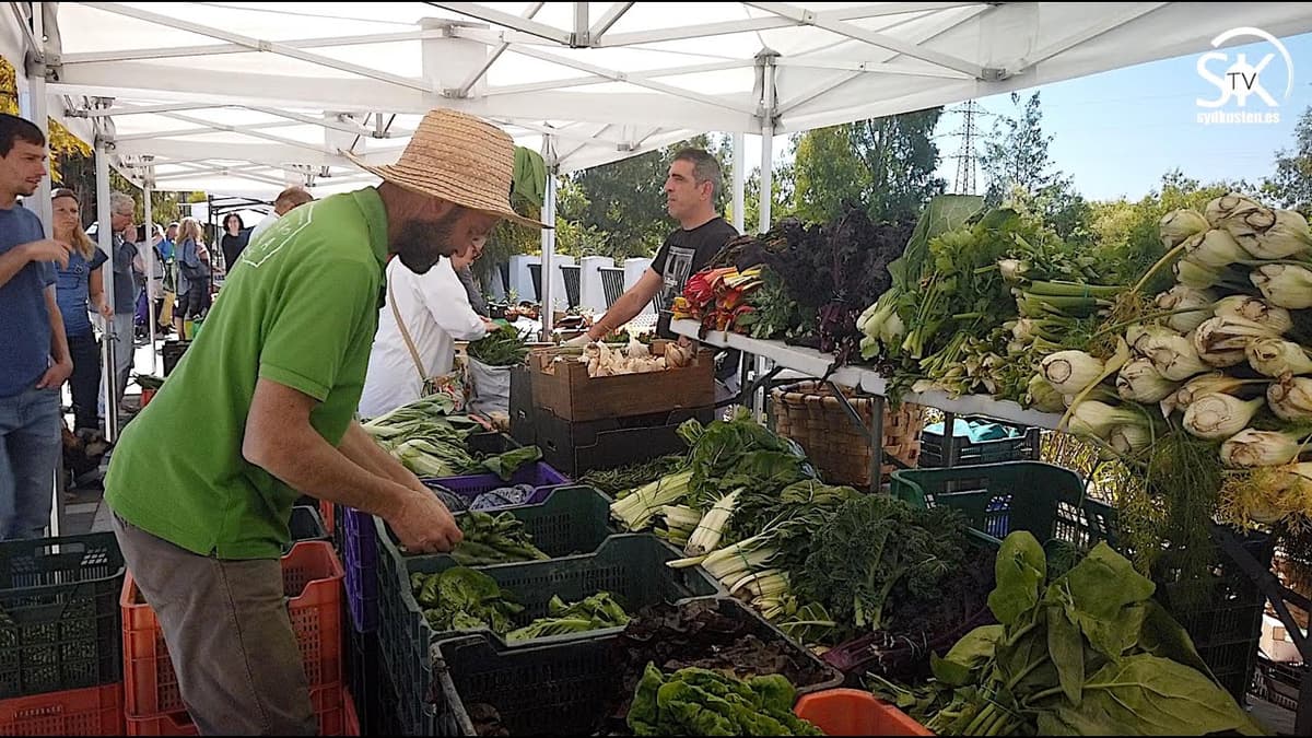 Markets in Malaga