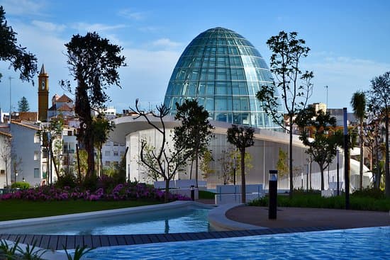 Orchid house botanical park in Estepona