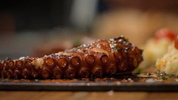 octopus leg