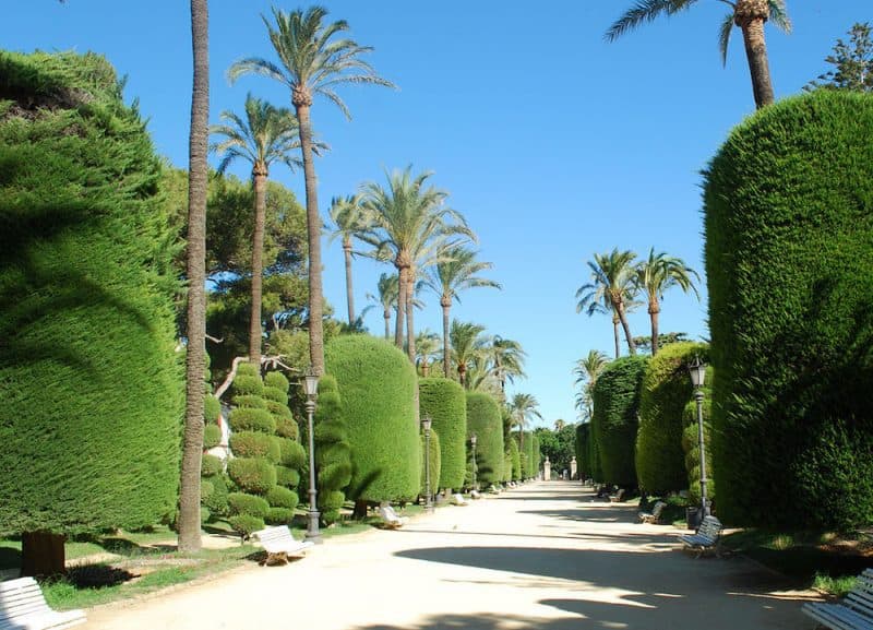 Jardines del Parque Genovés en Cádiz