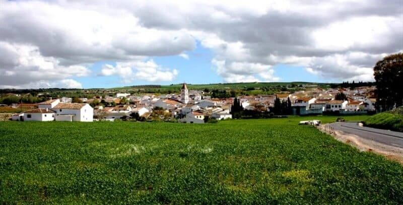 ver arriate ver arriate