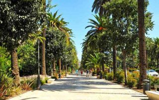 Alameda in Málaga