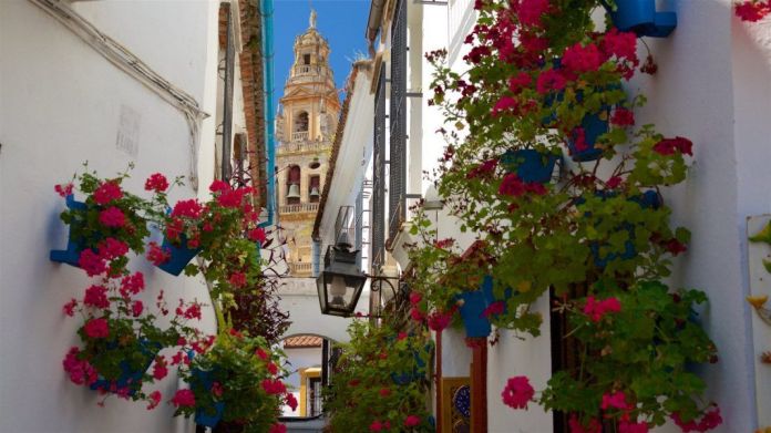 calleja de las flores