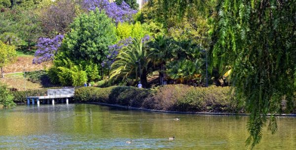 La Paloma Park and its lake