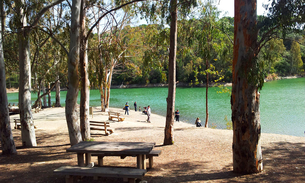 lago de las tortugas marbella marbesol