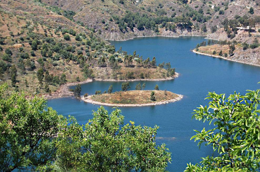 pantano el limonero 