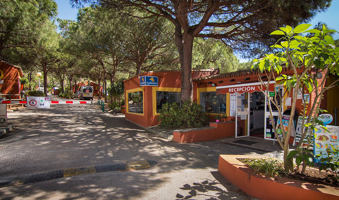 camping cabopino malaga