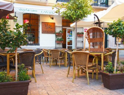 Restaurantes vegetarianos en Málaga