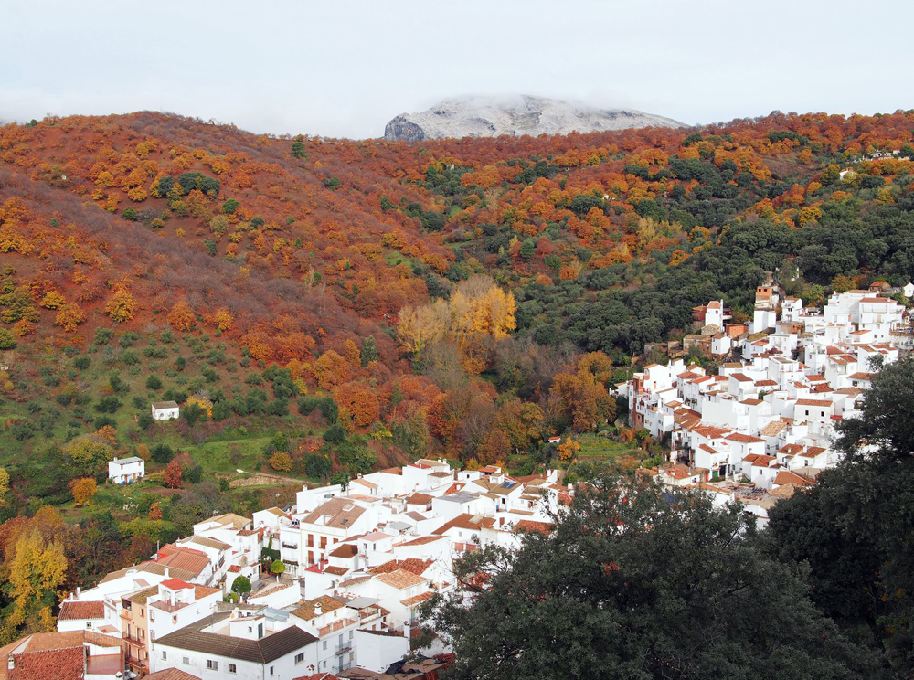 , The Valle del Genal and its white villages