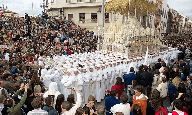 Procesiones de la Semana Santa de Málaga, Procesiones de la Semana Santa de Málaga