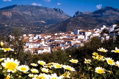 what to see in alcaucin what to see in alcaucin